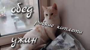 Обед//ужин//рыбные котлеты