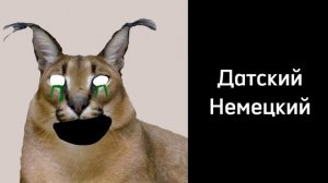 Ты Учишь Этот Язык: