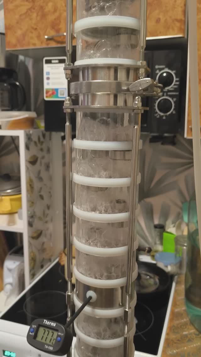 Спирт на тарелках  #водка #рецепты #shorts