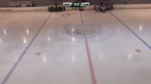 2014: Первенство СФО по хоккею среди юношей (день 1)