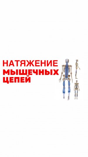 Натяжение мышечных цепей