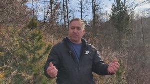 Это не просто ЧУДО - это песня