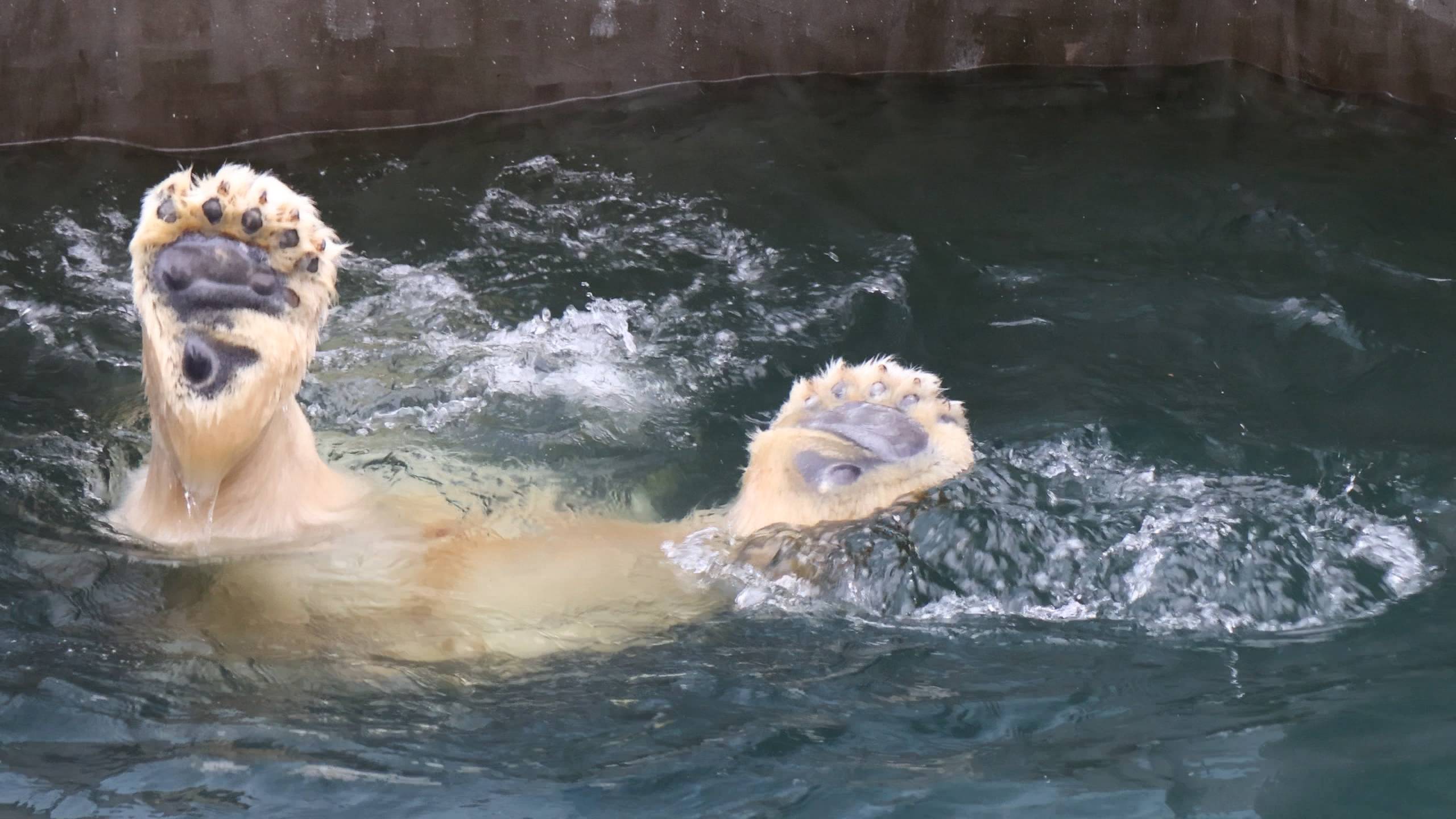 Кай и водная гимнастика.. смотреть онлайн