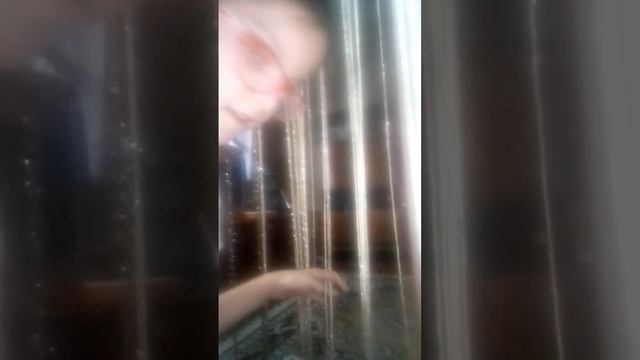 К НАМ ПРИЕХАЛА НЯНЯ.. НО ОН НЕ ПОХОЖ НА НЯНЮ? смотреть онлайн