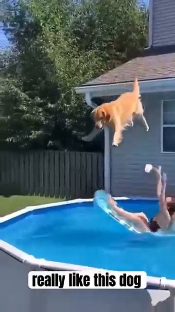 Hes a good boy [get.gt] смотреть онлайн