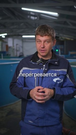 Рыбу выращивают даже на АЭС! Теплая вода от реакторов — идеально для форели и осетра.