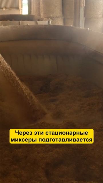 Силос за 30 км от ФЕРМЫ! #фермер #сельскоехозяйство #агротехнологии #коровы #ферма #молоко смотреть онлайн