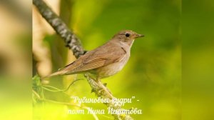 "Рубиновые кудри" - поэт Нина Игнатова