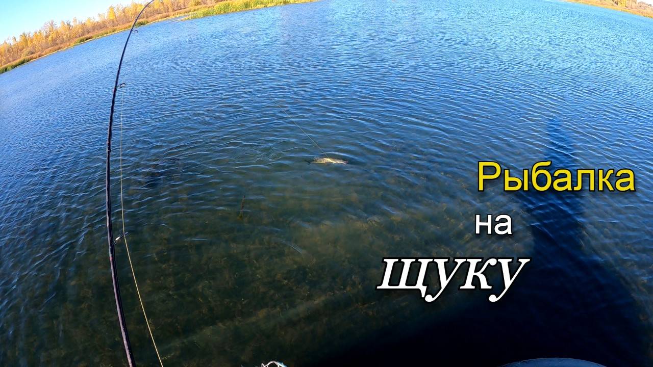 Осенняя рыбалка на хищника. Ловля щуки на поверхностные приманки смотреть онлайн