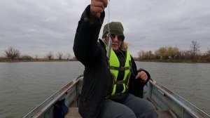 Бешенный клев этой рыбы Рыбалка в Астрахани