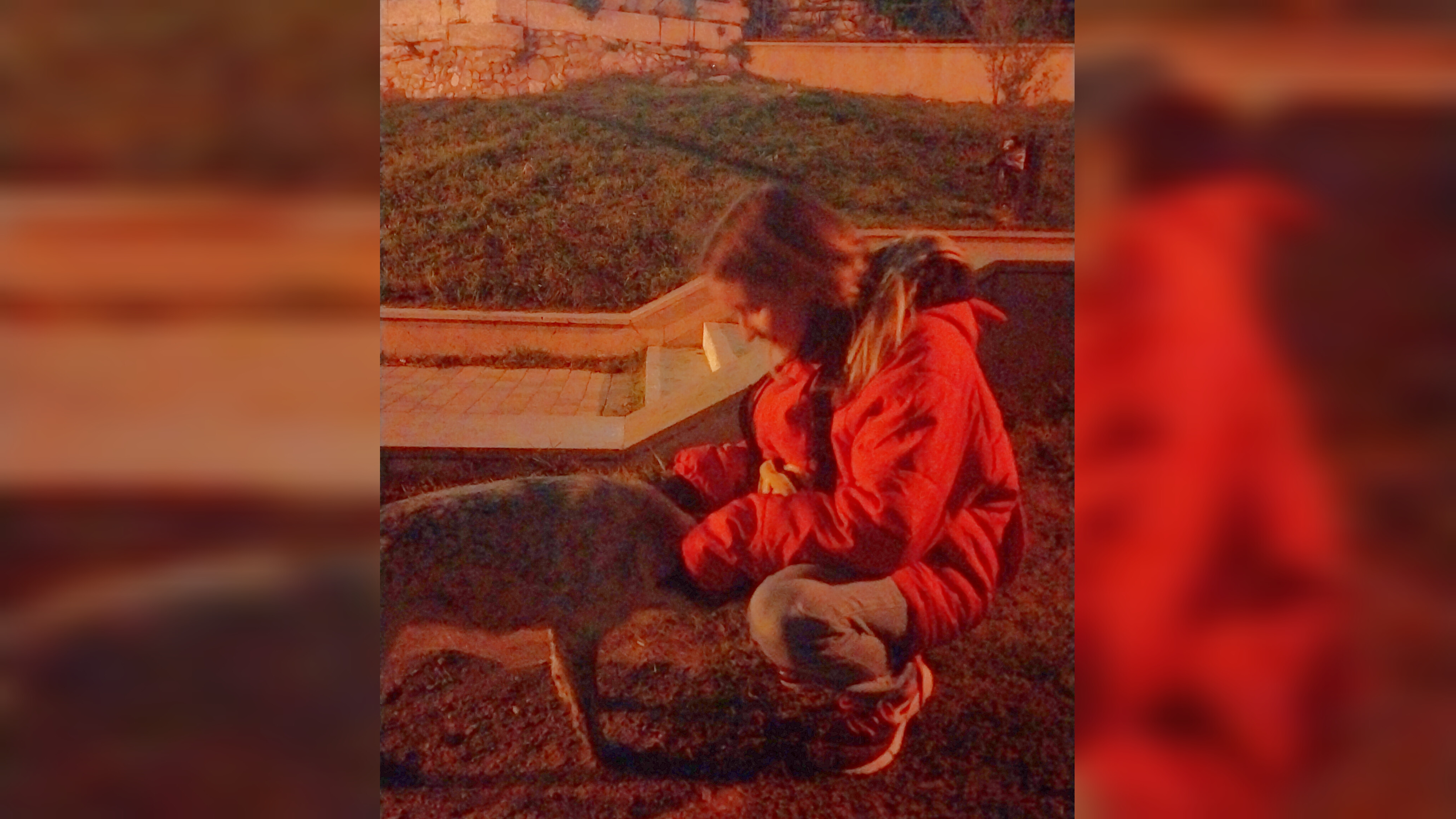 Неожиданная встреча 😊🐶