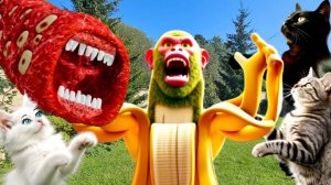 ПОЕЗД- ПОЖИРАТЕЛЬ СЪЕЛ CHIMPANZINI BANANINI??? КОШКИ в ШОКЕ!