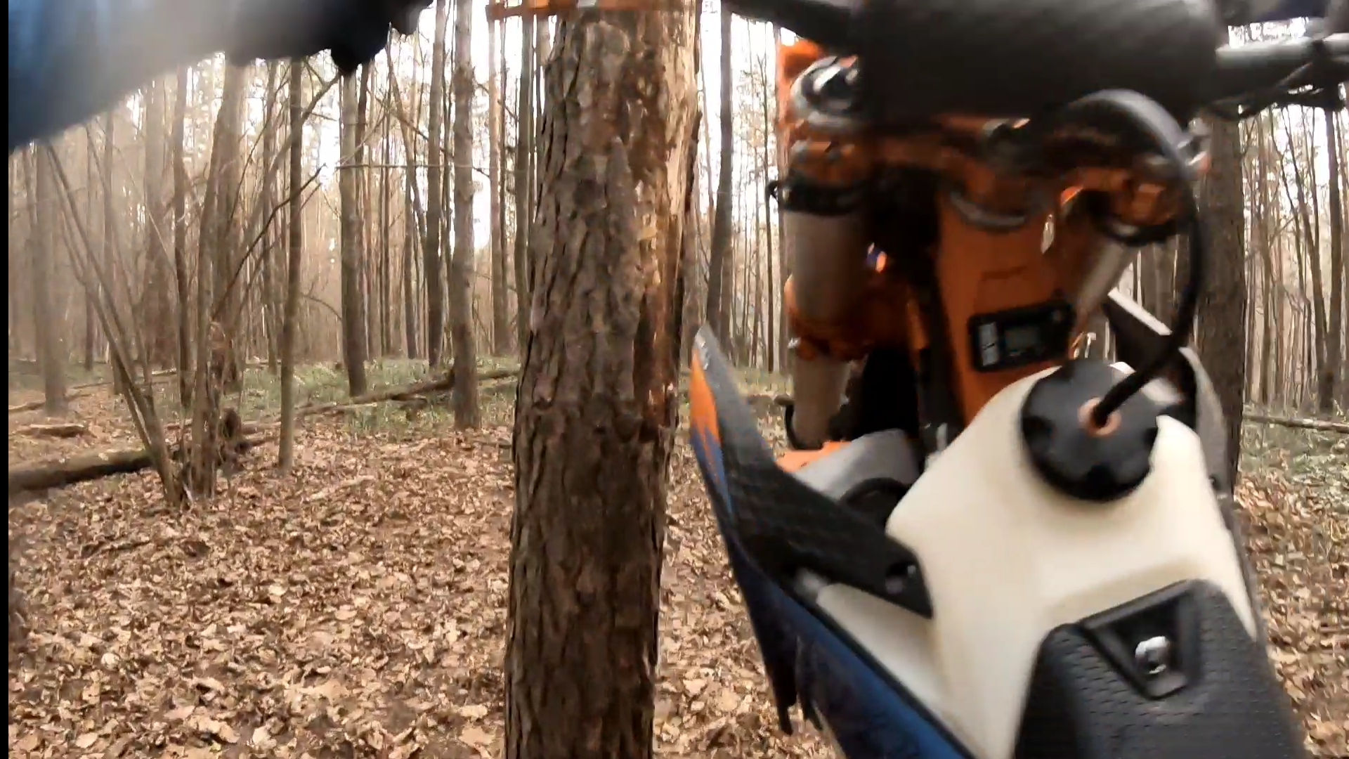 Наконец-то прошёл хардовую трассу! Было страшно, что останусь в лесу смотреть онлайн