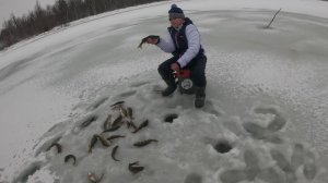 БЕШЕНЫЙ КЛЁВ ЩУКИ НА ЖЕРЛИЦЫ И ОКУНЯ НА МОРМЫШКУ.