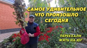 1014 Подарок от Надежды из Апшеронска/Жизнь после переезда/Приготовление напитка из винограда