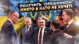 "Дурных немаэ!" - никто в НАТО не готов повторить "подвиг" Нэньки!