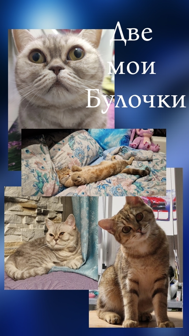 ❤️🥰Две мои булочки🥰❤️