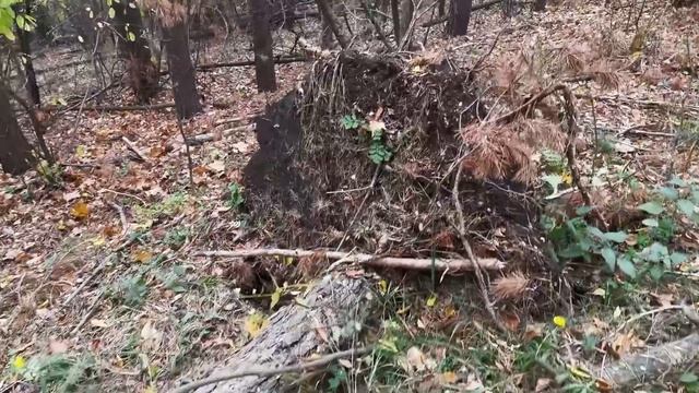 Землянка у ручья. Спасение от бури Белорусская неделька. Драники из бульбы смотреть онлайн