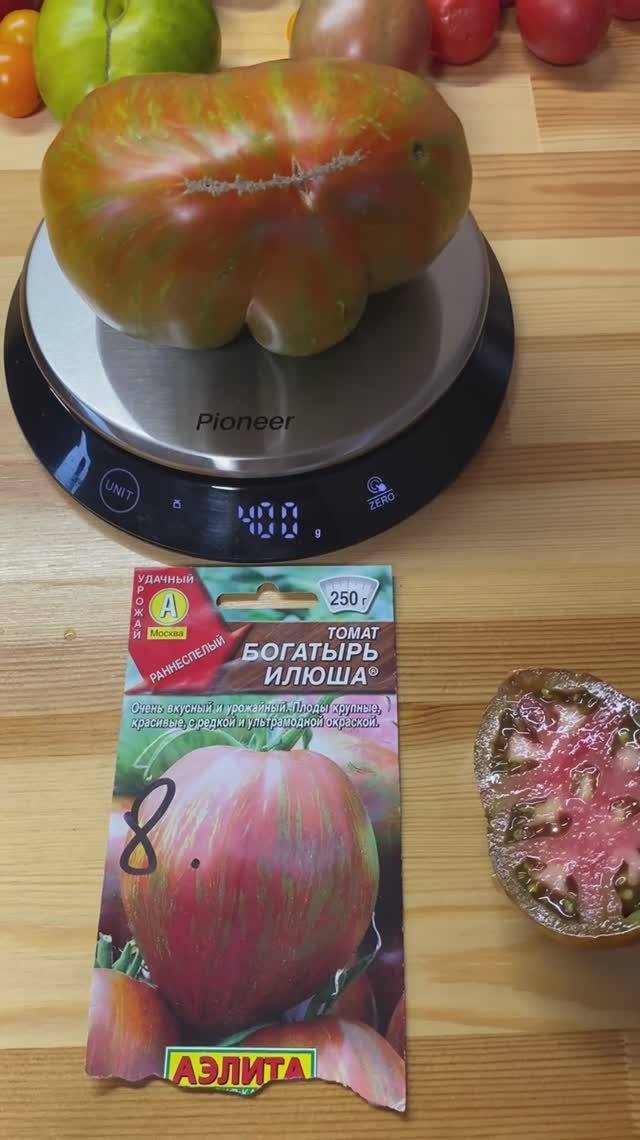 БОГАТЫРЬ ИЛЬЮША ТОМАТ ОЧЕНЬ УРОЖАЙНЫЙ