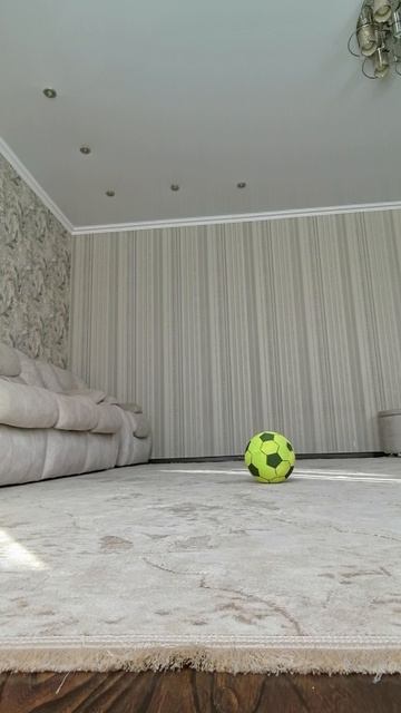 VID_20251103_130421.mp4