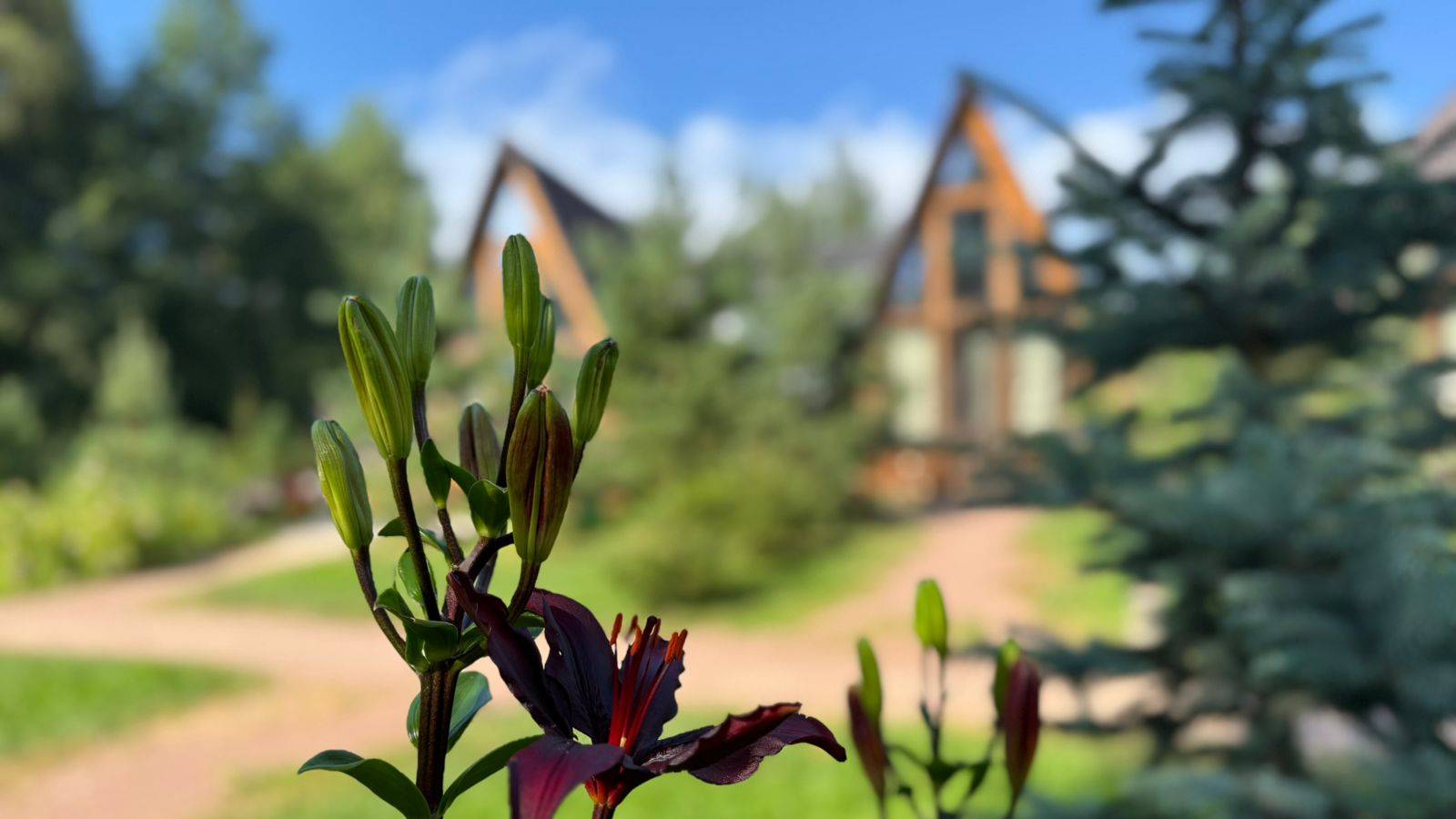 Светлое- шале №1