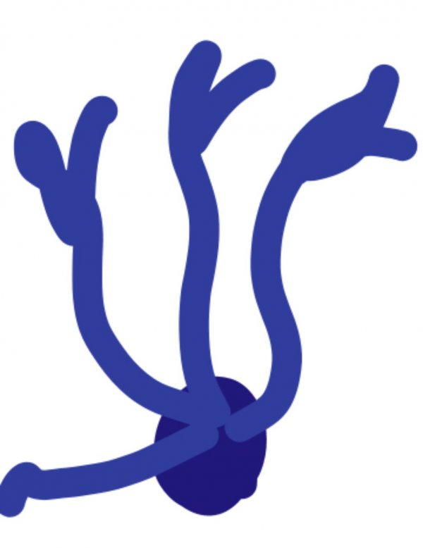 запись номер 2. набери 380 подписок