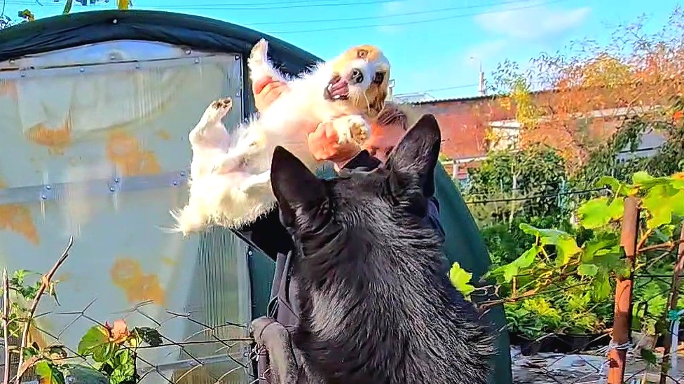 ✨️Танцпол везде!😁✨️Дела домашние ✨️ смотреть онлайн