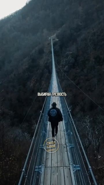 Выгода не пить алкоголь смотреть онлайн