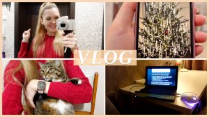 ❄️ МЫСЛИ ПРО НОВЫЙ ГОД | МАГАЗИНЫ