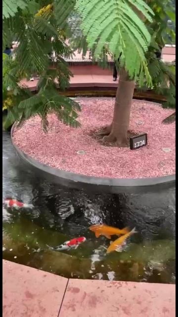 Парк Галицкого, осенняя рапсодия