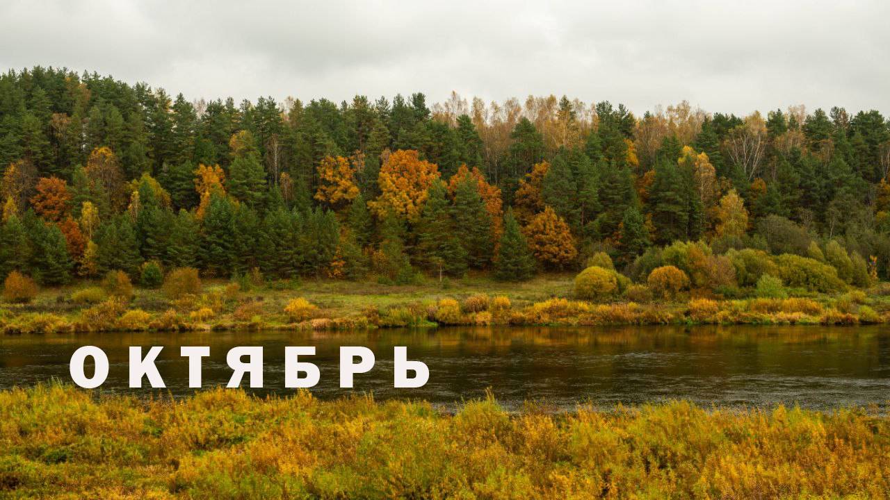 СМУТНОЕ ВРЕМЯ #35 смотреть онлайн