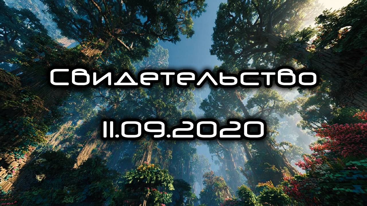 Свидетельство 11.09.2020 смотреть онлайн