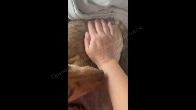 Молли готова к переезду