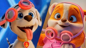 #ЩЕНЯЧИЙ#ПАТРУЛЬ#PAW#PATROL#ЖМИ#НА#РАКЕТУ#ДВИГАЙ#ТОП#ДАВАЙ#ЖМИ#ЩЕНЯЧИЙ#ПАТРУЛЬ