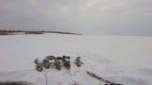 Трофейная рыбалка, перемёты на налима.