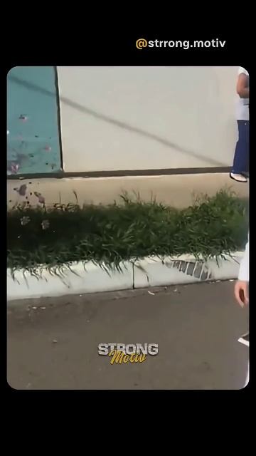 #первоесентября #сновавшколу #семья смотреть онлайн