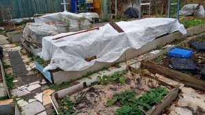 Уже на даче