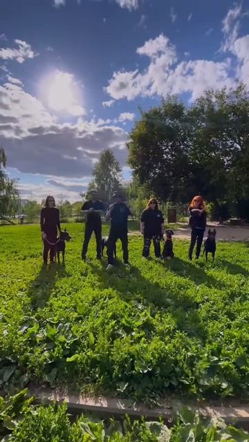 Как вам ? смотреть онлайн