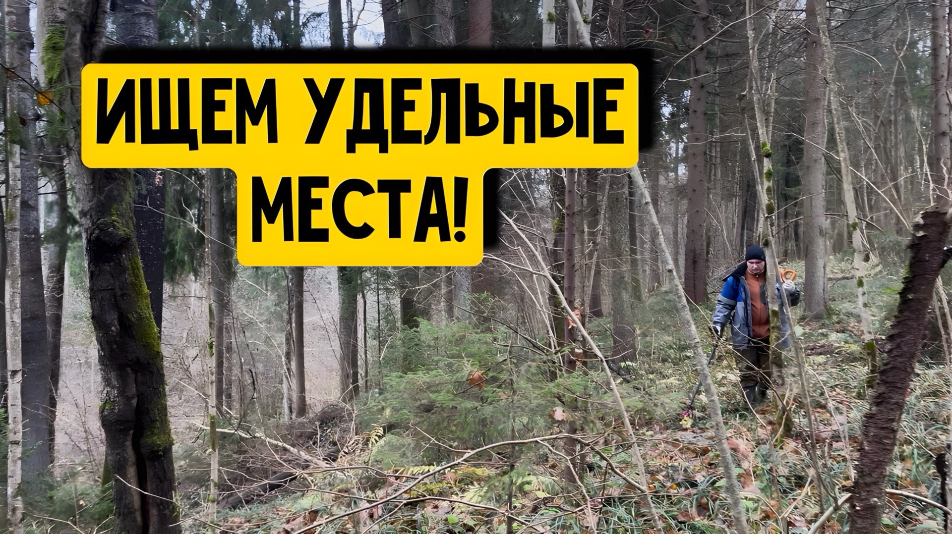 ИЩЕМ УДЕЛЬНЫЕ МЕСТА! смотреть онлайн