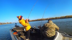 НА РЫБАЛКУ С РЕБЁНКОМ. КРУПНАЯ РЫБА ДАРИТ НЕЗАБЫВАЕМЫЕ ЭМОЦИИ. Рыбалка на хищника. Грибы на дереве