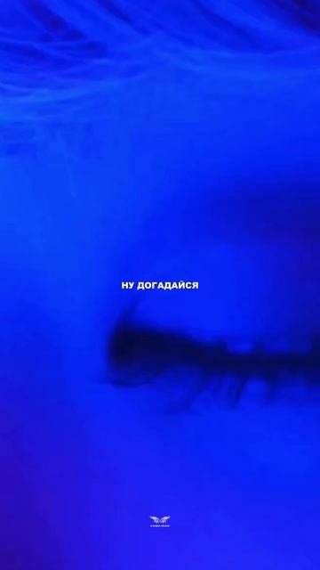 DEAD LALI - «Ангел»В эту пятницу на всех музыкальных площадках💥 смотреть онлайн