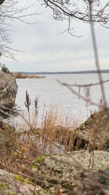 Выборг смотреть онлайн