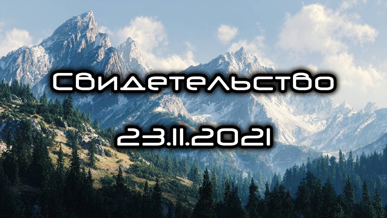 Свидетельство 23.11.2021 смотреть онлайн