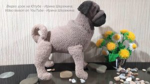 Собака Мопс, ч.4. Dog Pug, р.4. Amigurumi. Crochet.  Вязать игрушки, амигуруми.