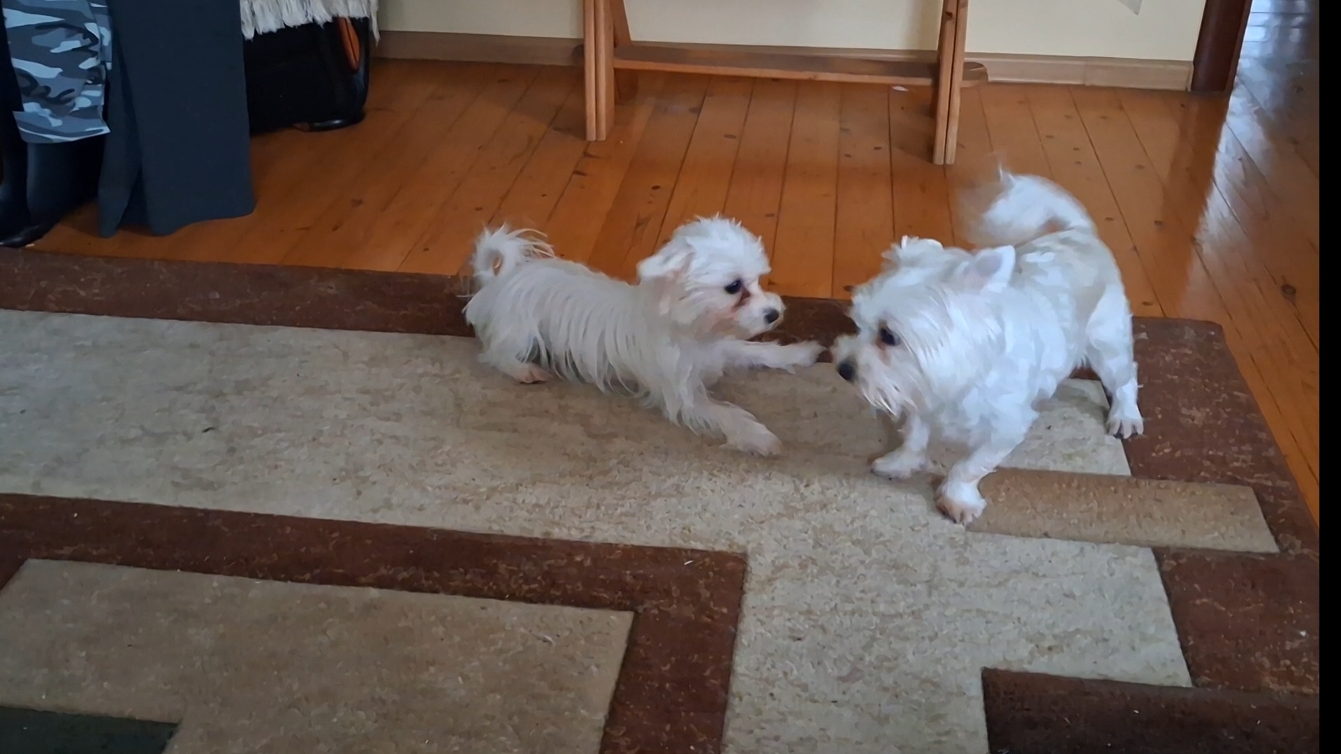 Бои без правил.... смотреть онлайн