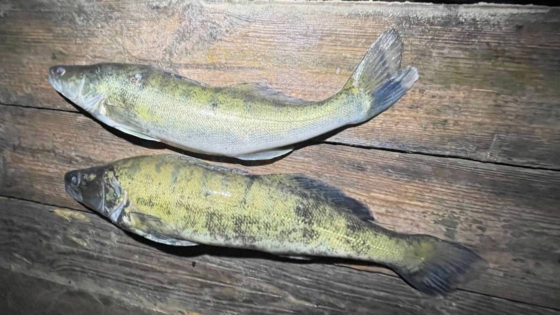 Подводная охота на водохранилище смотреть онлайн