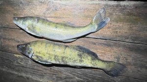 Подводная охота на водохранилище