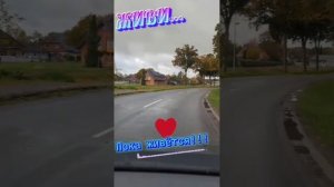 Голос Шансона - Живи, пока живётся »