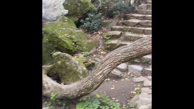 Осенняя сказка