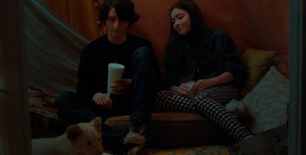 Лена и львенок (2020)